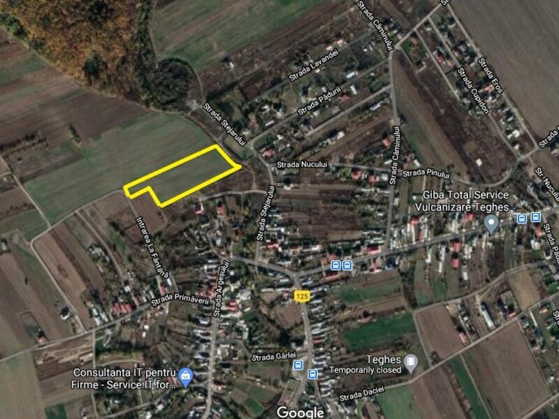 Domnesti Teghes, 10000mp, intravilan, P+2+M dubla deschidere 50m, utilitati